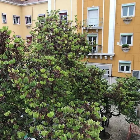 Casa Do Joao • Break •